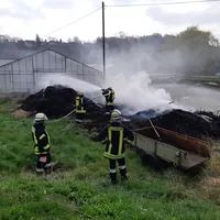 20190406_-_b_4_landwirtschaft_1.jpg